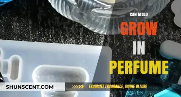 Perfumes and Mold: What's the Connection?