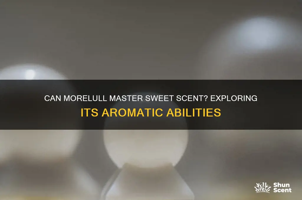 can morelull learn sweet scent