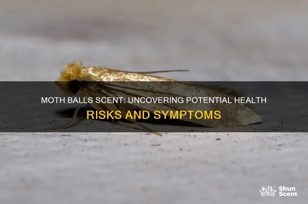 can moth balls scent make you sick