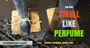 The Fragrance of Mud: Nature's Perfume