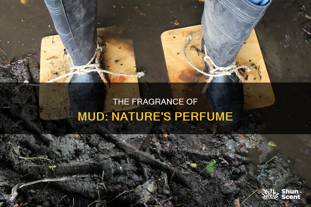 can mud smell like perfume