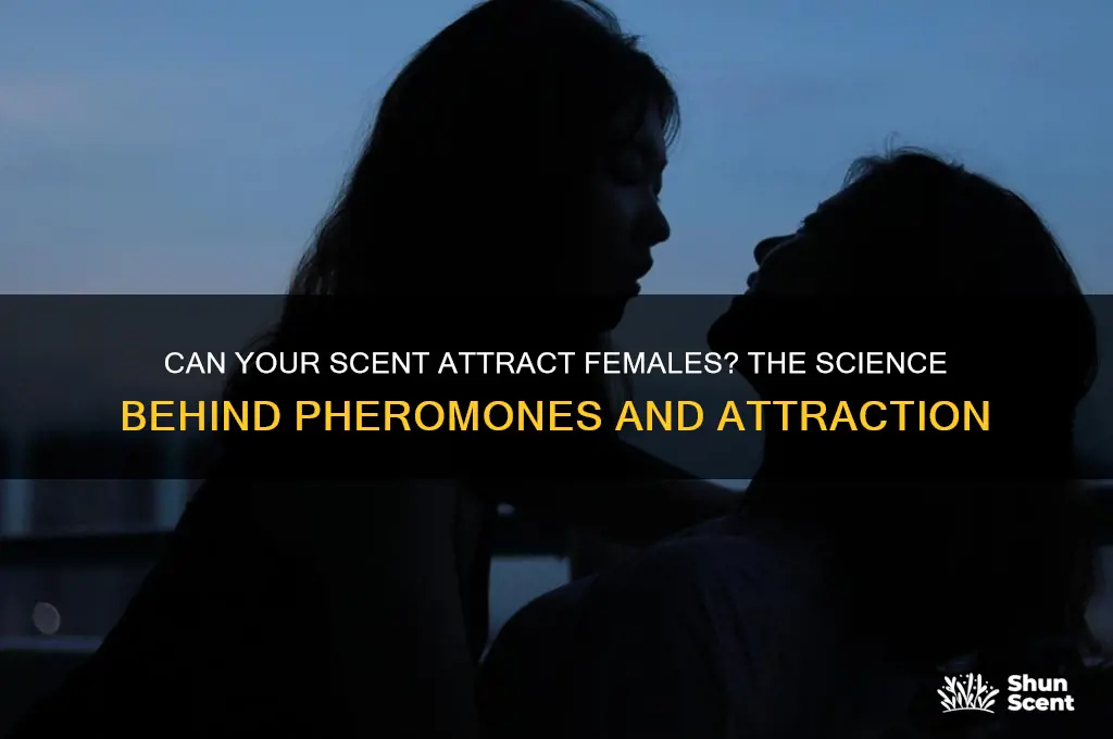 can my scent attract females