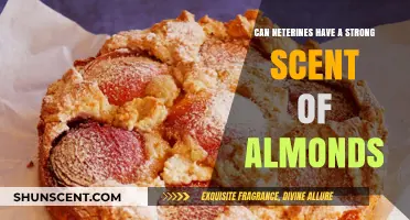 Do Nectarines Emit a Strong Almond Scent? Unraveling the Aroma Mystery