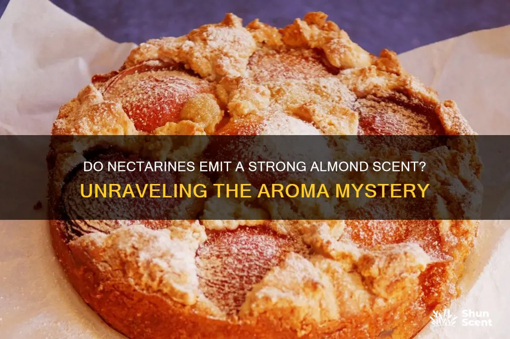 can neterines have a strong scent of almonds