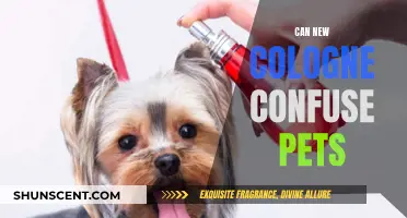 How New Colognes Affect Your Pet's Sense of Smell