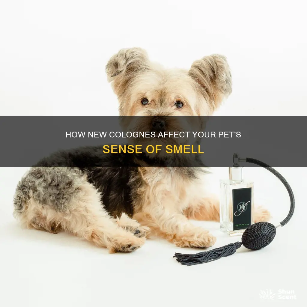 can new cologne confuse pets