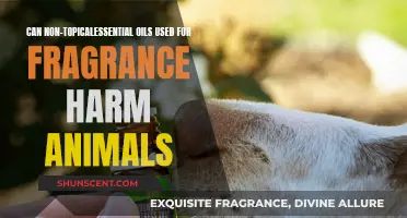 Essential Oils: Are They Safe for Animals?