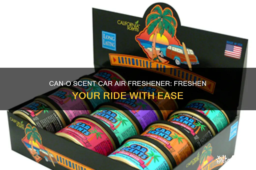 can o scent car air freshener