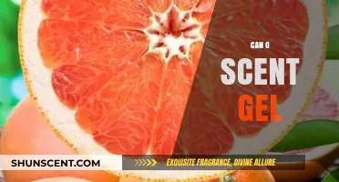Can O Scent Gel: A Fresh Approach to Long-Lasting Fragrance