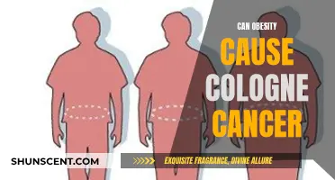 Obesity and Colon Cancer: Is There a Link?