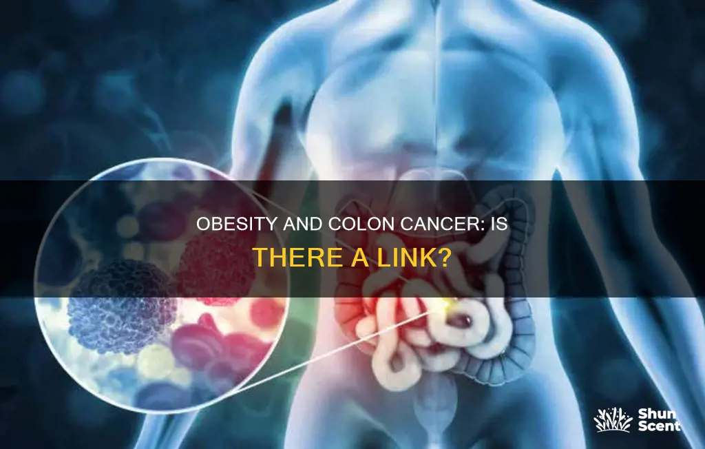 can obesity cause cologne cancer