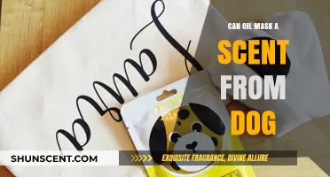 Can Oil Effectively Mask Dog Scents? A Pet Odor Solution Guide