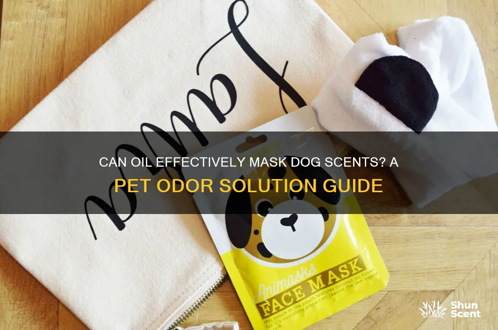 can oil mask a scent from dog