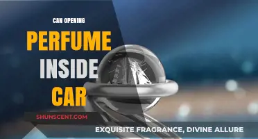 Perfume in the Car: A Good or Bad Idea?