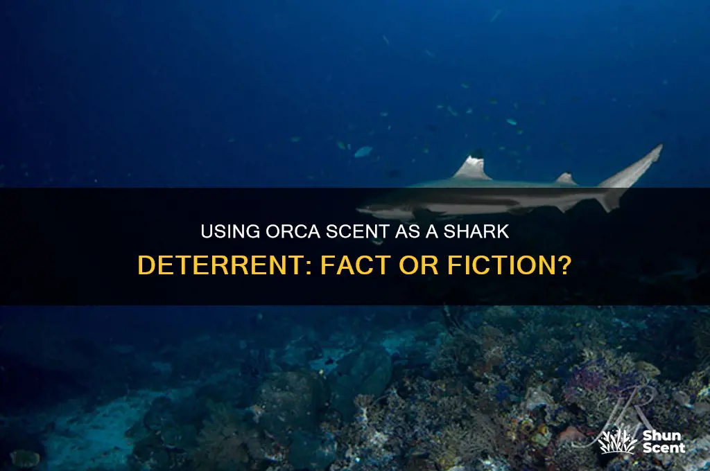 can orca scent be used to keep sharks away