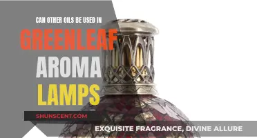 Aroma Lamps: Using Oils Other Than Traditional Options