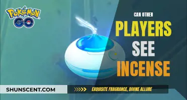 Incense in Games: Who Can See and Smell It?