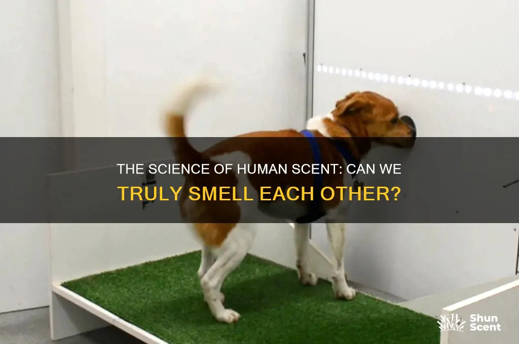 can people really smell each others scent