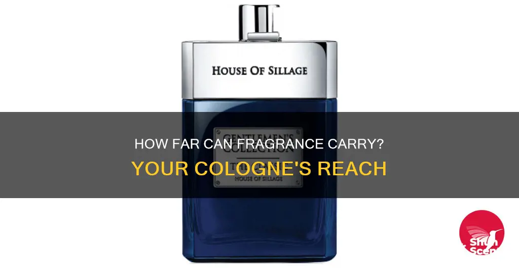 can people smell my cologne