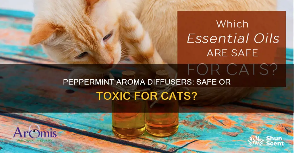 can peppermint aroma diffuser hurt my cat