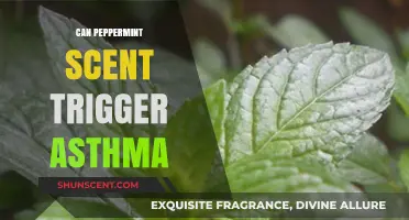 Can Peppermint Scent Trigger Asthma? Exploring the Risks and Facts