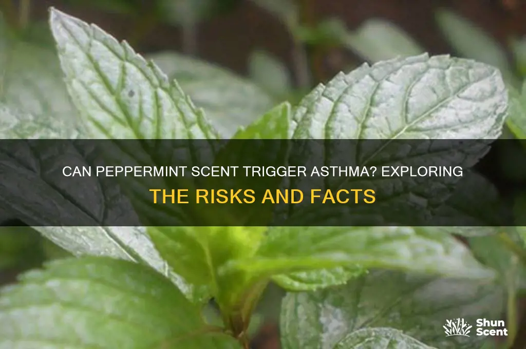 can peppermint scent trigger asthma