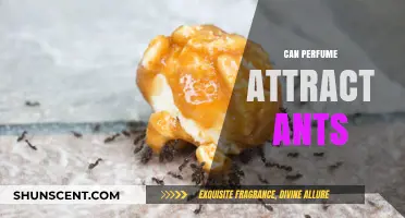 How Perfume Attracts Ants: The Science