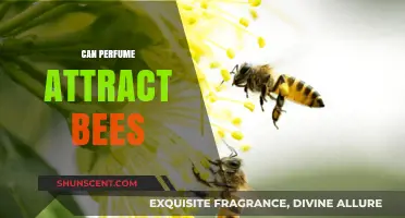 The Sweet Smell of Attraction: Bees and Perfume