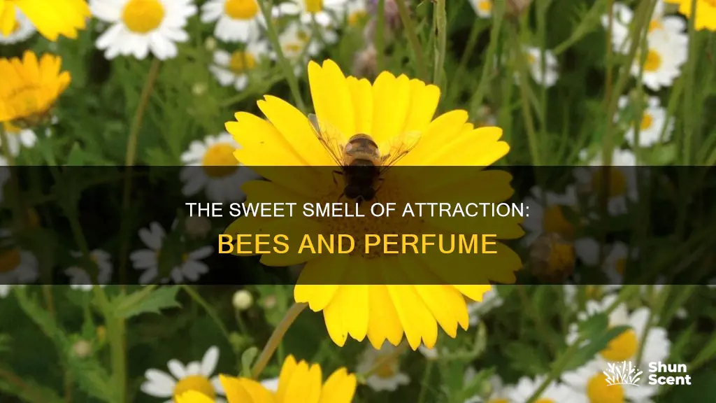 can perfume attract bees