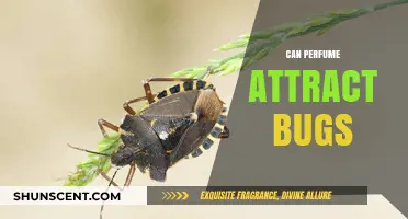 Perfumes: Bug Attractors or Repellents?