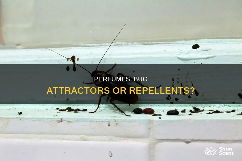 can perfume attract bugs