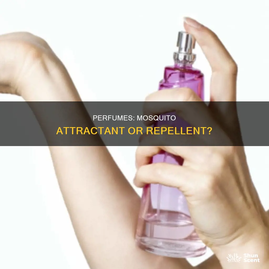 can perfume attract mosquitoes