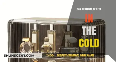 Cold Storage: Keeping Your Perfume Fresh