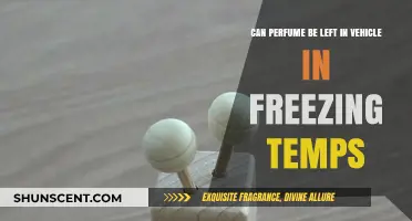 Freezing Fragrances: Safe to Leave in Your Car?
