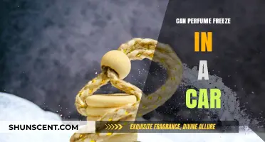 Winter Woes: Can Car-Stored Perfumes Freeze?