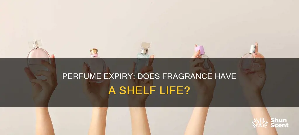 can perfume go out of date
