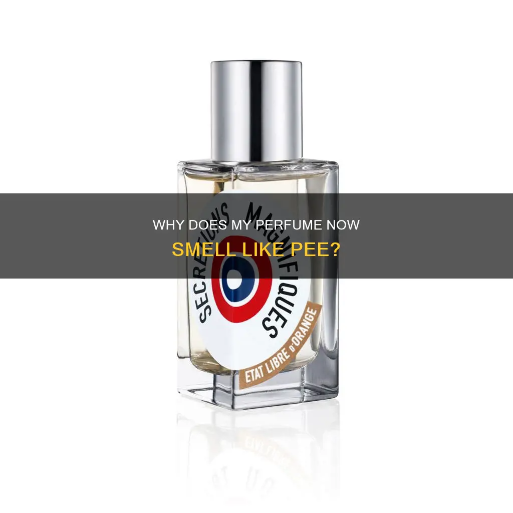 can perfume go rancid and start smelling like urine