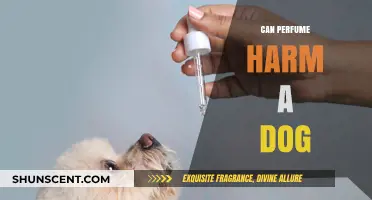 Perfume and Dogs: A Toxic Mix?