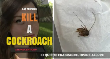 Perfume: A Cockroach's Killer Fragrance?