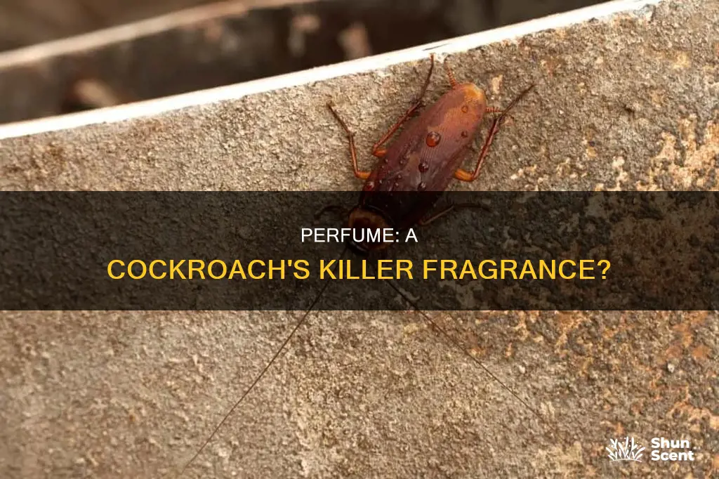 can perfume kill a cockroach