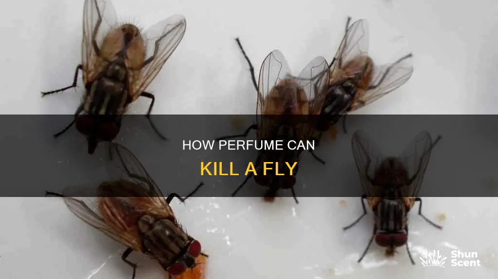 can perfume kill a fly