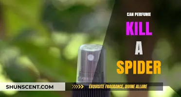 Spiders and Scents: Can Perfume Kill Spiders?