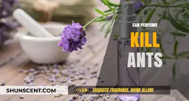 Perfumes: Ant Repellent or Killer?