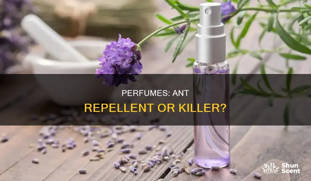 can perfume kill ants