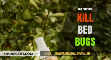 Perfume to Kill Bed Bugs: Does it Work?
