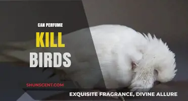 The Danger of Perfume: Are Birds at Risk?