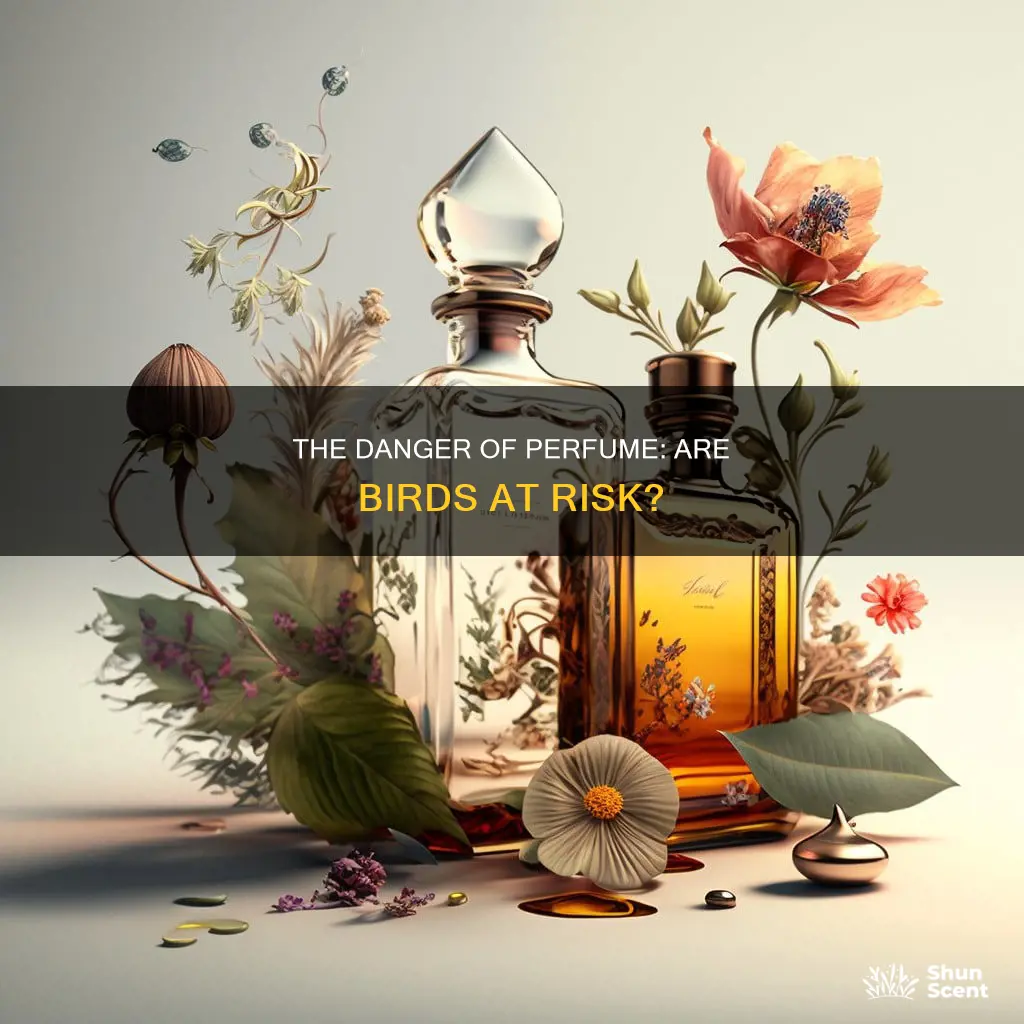can perfume kill birds