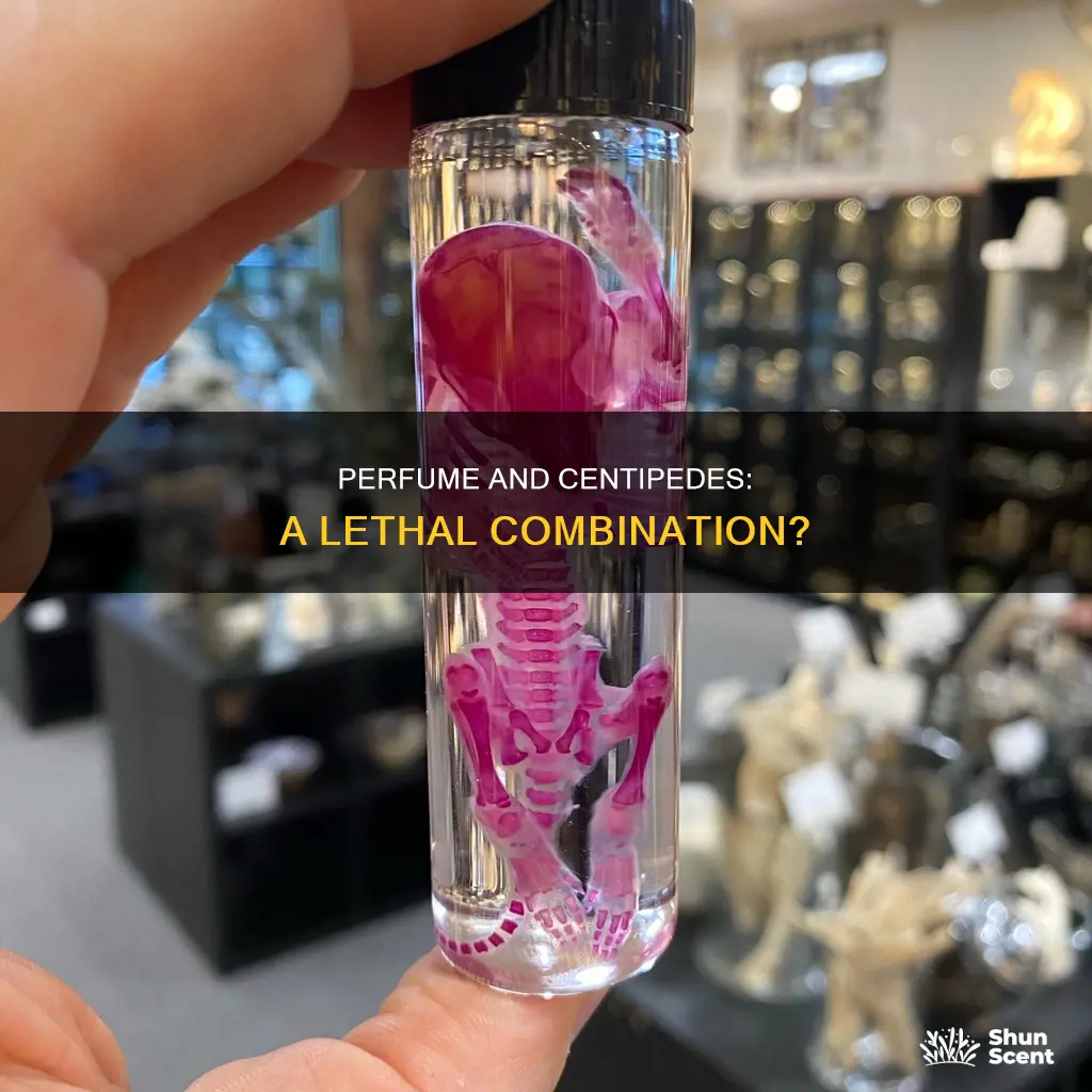 can perfume kill centipedes