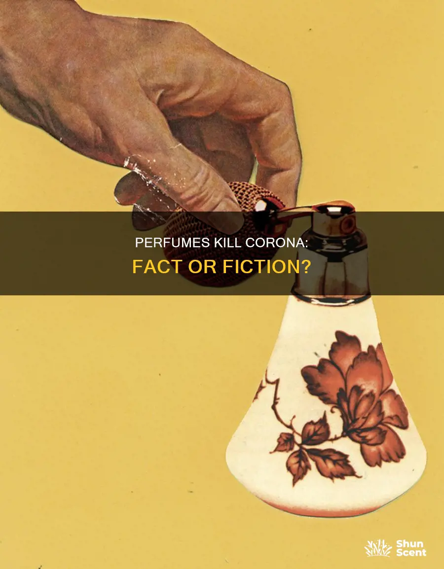 can perfume kill corona