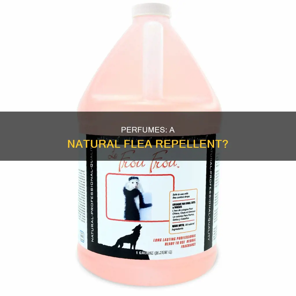 can perfume kill fleas